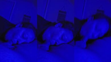 Blue Light Blowjob MILF Deep Throat Cumshot