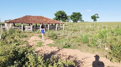 Milf cowboy ruined me with his massive cock raw creampie on farm