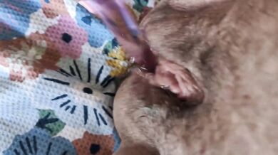 Solo BBW Squirts All Over Her Dildo While Moaning In Water Park