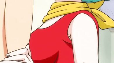 Bulma gets destroyed by Vegeta's massive dragon cock