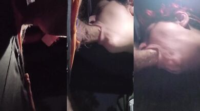 Sloppy amateur blowjob under a bridge public sex