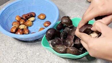 Hard rough sex with mbokde jengkol beans gangbanged