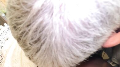 Eating black Milfs sweet pussy still she cum on my mouth