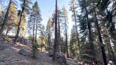 California Road Trip Yosemite San Francisco HD porn