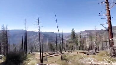 California Road Trip Yosemite San Francisco HD porn