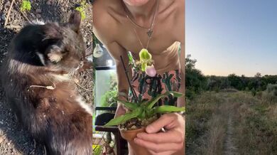 What my day off sounds like 100% natural sounds