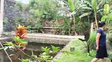 Mbokde Destroyed By Hard Rough Sex With Banana Leaves And Blossoms In Village Garden Asian College Verified Amateur Solo Female Hot Sex Videos