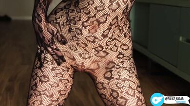 Ellise Sugar Finger Play Destroyed Pussy Gushing Black Fishnets