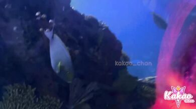 Aquarium Date Destroyed By Simple Sex And Amateur Blowjob Ride Cowgirl POV Goth Egirl Tattoo