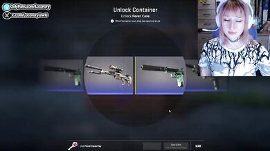 CounterStrike 2 Striptease Case Opening Destroyed Gushing Choked