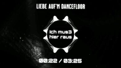 Emerging from the Lake of Pain on the Dancefloor HD