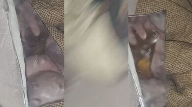Mirror Masturbation Destroyed By Anal Play Gushing Choked