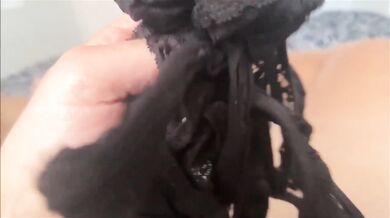 Goth Step Sisters Destroyed Cowgirl Riding Cum In Mouth Missionary Big Titty Alex Adams