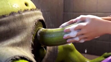 Rapunzel First Time Sex With Shrek Destroyed Gushing Deepthroat Cartoon Exclusive HD Porn