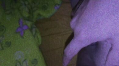 Exclusive POV Verified Amateur Solo Female Masturbates Alone With Tight Pussy HD
