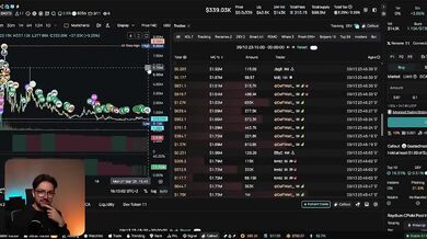 How to Copy Trade Memecoin Millionaires on FOMO