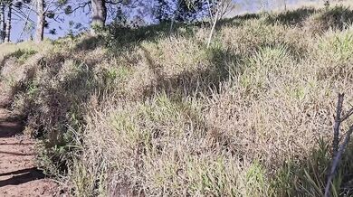 Horny Stepsister Pees Wild on a Mountain Trail Public Urination Shame Destroyed