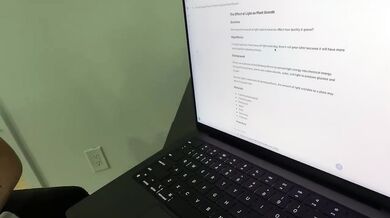 Studying With MelzTube Turns Into Creampie Big Ass Latina POV Destroyed Gushing Choked Exclusive Babe Big Tits HD Porn Latina Step Fantasy Verified Amateurs Scott Stark