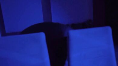 Spied Latina Destroyed By Thief Tibasins Cumshot