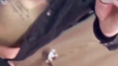 companero de trabajo me folla en horas laborales parte 2 hardcore creampie blowjob rough doggy