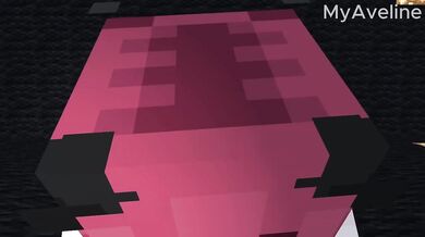 Minecraft BlackRoom Compilation Destroyed By All The Girls POV