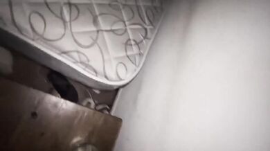 Argentine Amateur Amateur Infidel Couples Succumb to Hard Big Cock Deep Doggystyle POV
