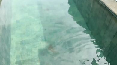 Caught My Pervy Step Bro Taking Bikini Pics Big Dick Destroyed Pussy