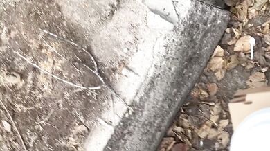 Bella Shurbet My Neighbor Milk Cum In Mouth Sloppy Deepthroat Big Tits Face Fuck Sloppy Cum On Face