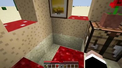 How to Fully Erect a House on Minecraft Quick and Easy