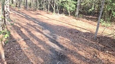 Gilf Ali Meets A Stranger In The Park Destroyed Gushing Choked