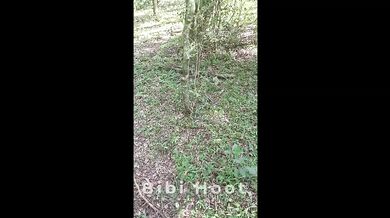 Outdoor Blonde Begging for Cum in Her Mouth at Work