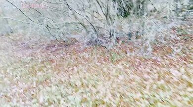 Stepsister Blowjob In Woods While Parents Pick Berries Nearby