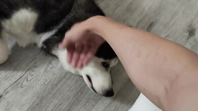 7 Minutes Is All I Can Spare Petting My Dog