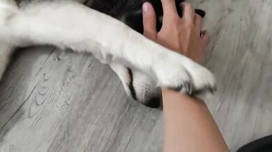 7 Minutes Is All I Can Spare Petting My Dog