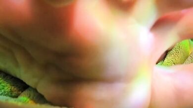 Gushing Cum On Feet With Red Nail Polish And Wrinkled Feet Fetish Worship