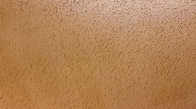 Ebony BBC Destroyed Amateur Pussy Creamy Asf Creampie