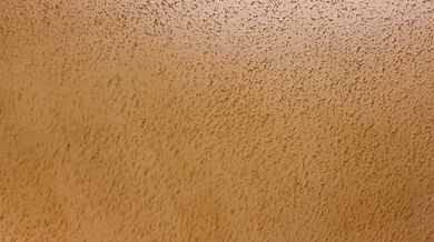 Ebony BBC Destroyed Amateur Pussy Creamy Asf Creampie
