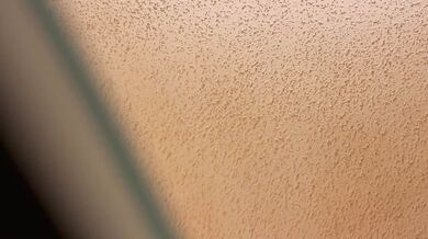 Ebony BBC Destroyed Amateur Pussy Creamy Asf Creampie