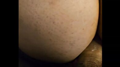 Sloppy Deepthroat Destroyed Her Fishnet Ass Gushing Milf Step Sister Anal Test Full Video