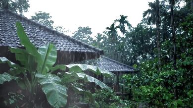 Rain Thunder Sound Adds to Romantic Atmosphere of Making Out
