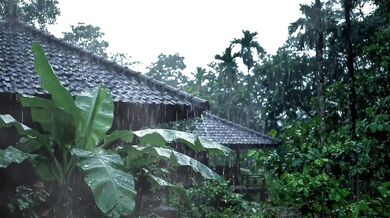 Rain Thunder Sound Adds to Romantic Atmosphere of Making Out