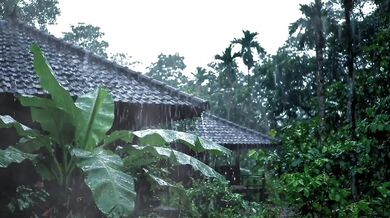 Rain Thunder Sound Adds to Romantic Atmosphere of Making Out