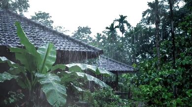 Rain Thunder Sound Adds to Romantic Atmosphere of Making Out