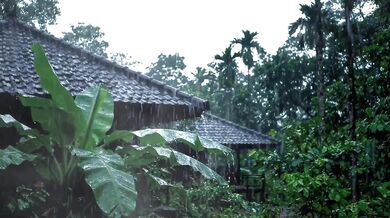 Rain Thunder Sound Adds to Romantic Atmosphere of Making Out