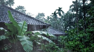 Rain Thunder Sound Adds to Romantic Atmosphere of Making Out
