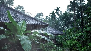 Rain Thunder Sound Adds to Romantic Atmosphere of Making Out