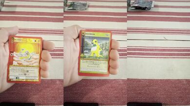Opening Up Packs of Metazoo Trading Cards