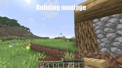 Minecraft Steve Destroyed Gushing Choked Cartoon Compilation Gaming HD Porn