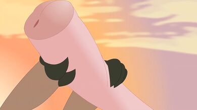 Rhino Cock Destroyed Armadillo Furry Animation Cartoon