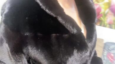 Milf Neighbor in Fur Coat Destroyed With Big Natural Tits Cum on Tits